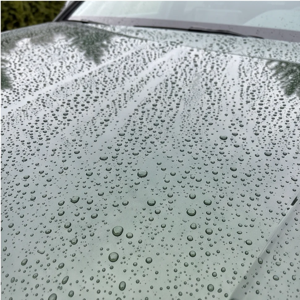 Water beading on a freshly ceramic coated hood in Chilliwack, BC