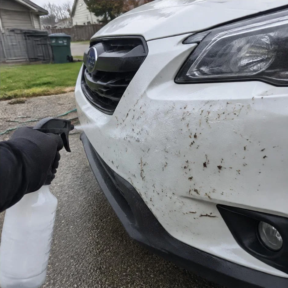 Bug residue receiving targeted exterior cleaning in Chilliwack, BC