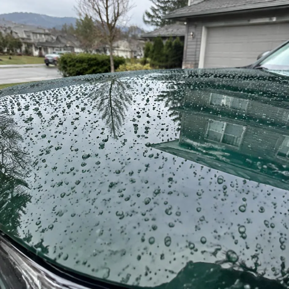 Water beading on protected dark vehicle paint in Chilliwack, BC