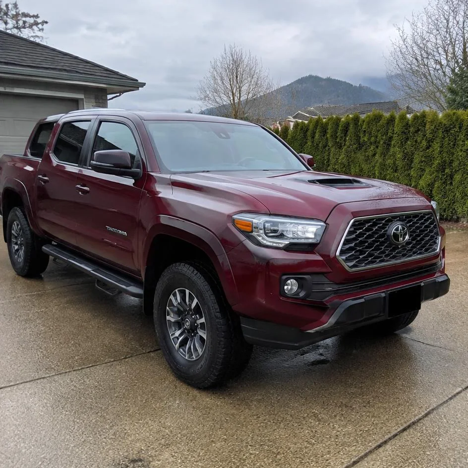 Inspection and coverage plan during paint protection film installation in Chilliwack, BC